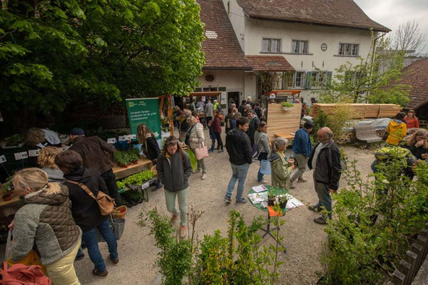 Alte Mühle Küttigen
